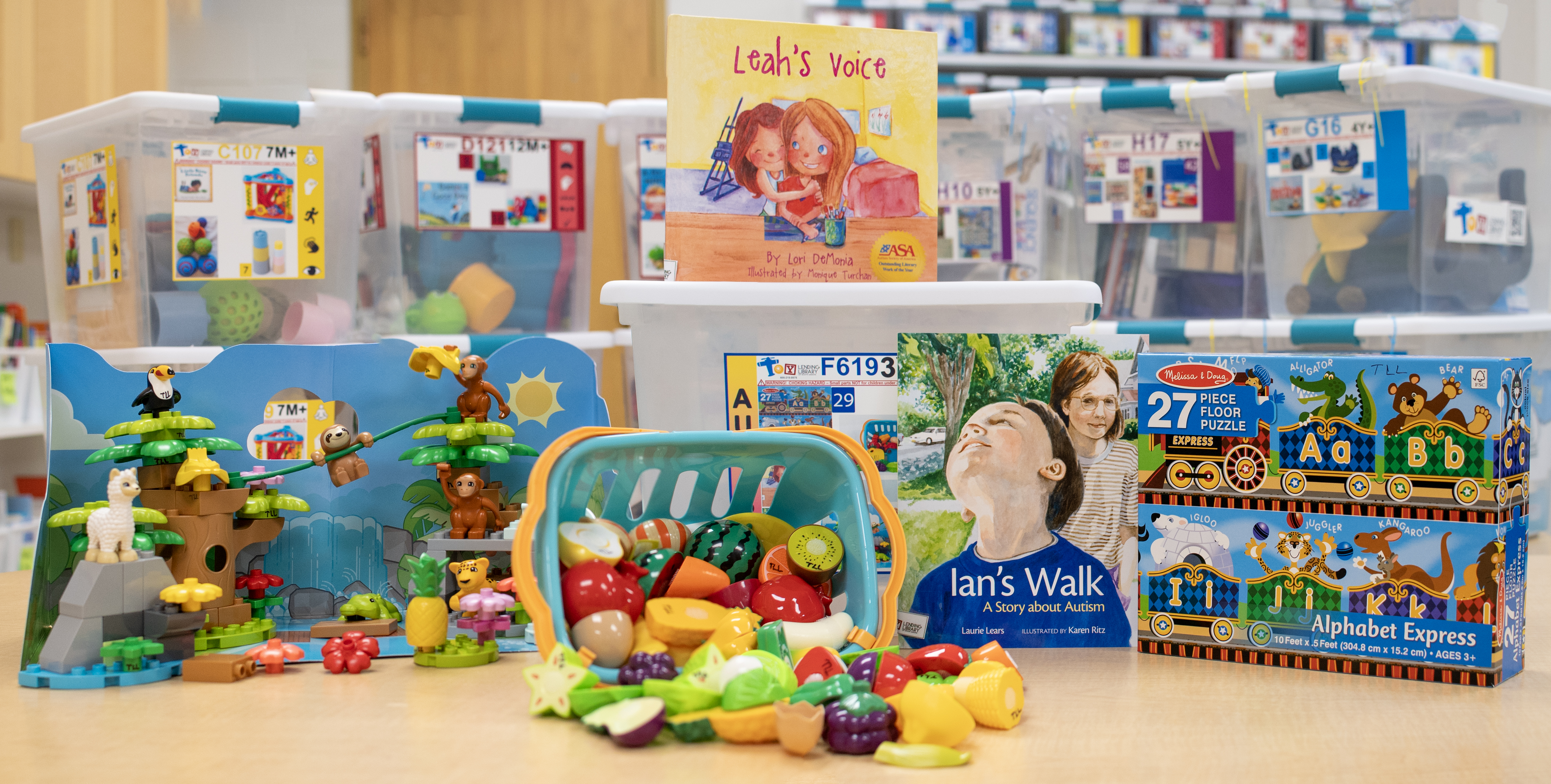 Toy Lending Library Autism Inclusion Box