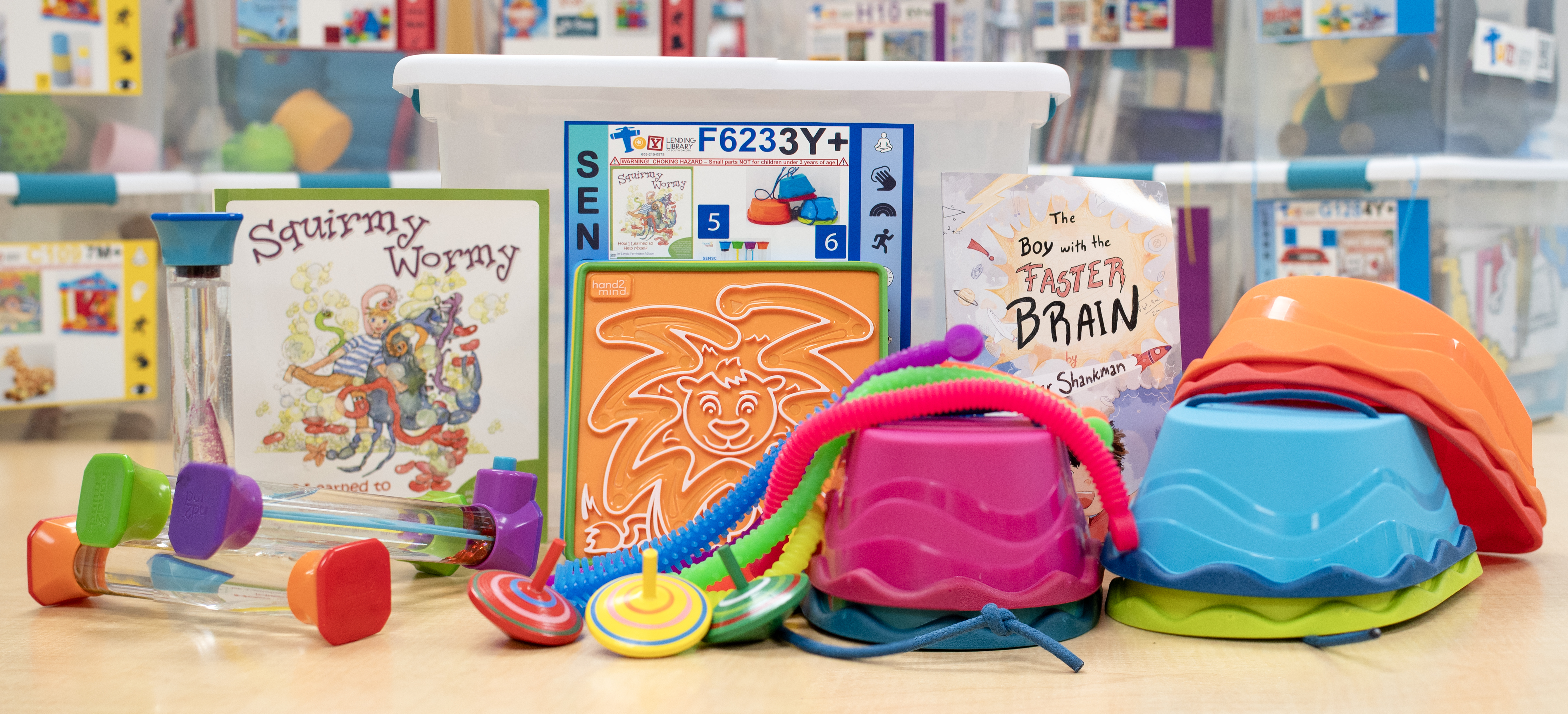 Toy Lending Library Sensory Inclusion Box